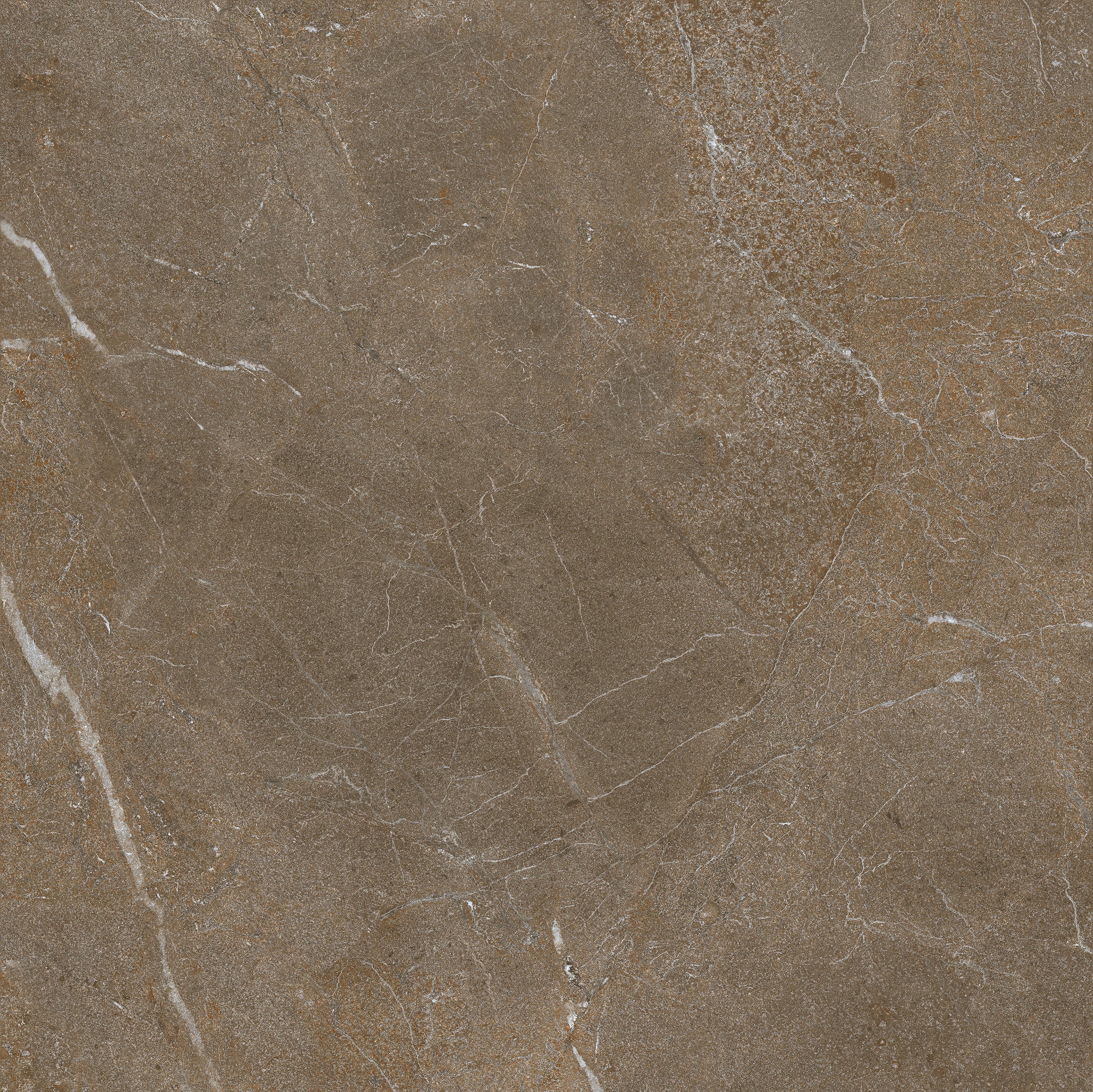 COLLECTION LAVISTA - MARONE
