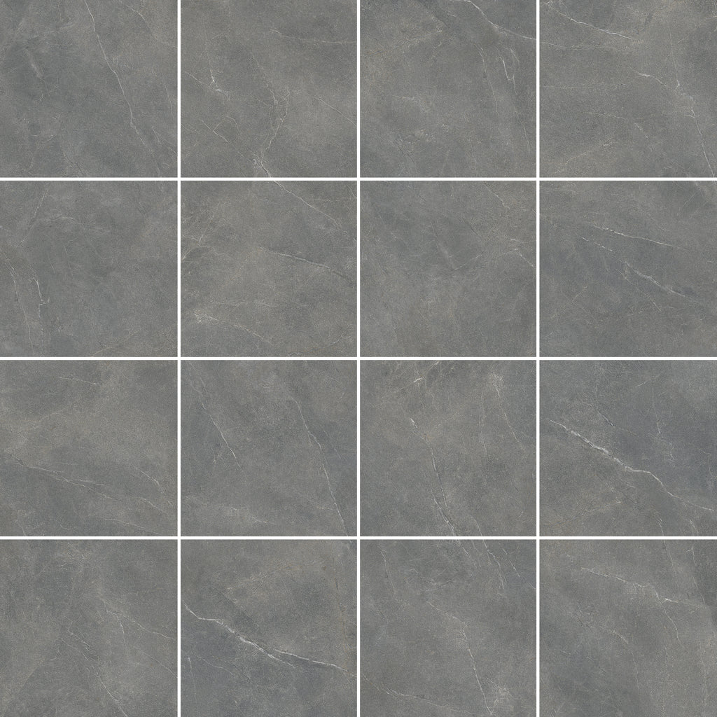 COLLECTION LAVISTA - CINDER
