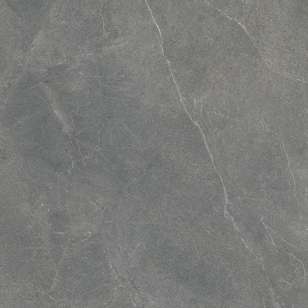 COLLECTION LAVISTA - CINDER