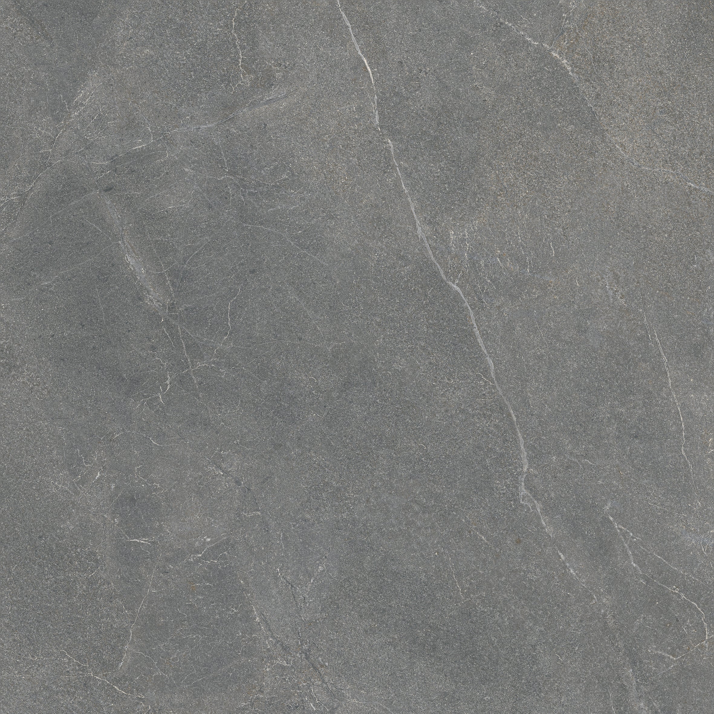 COLLECTION LAVISTA - CINDER